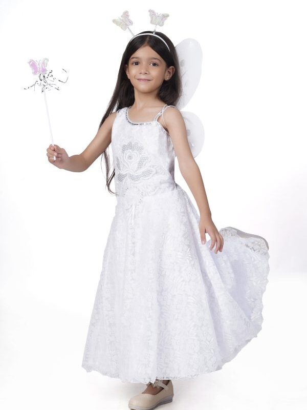 Princess Fairy Butterfly Pari Costume Dress for Kids Girls