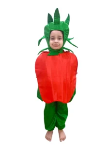 Red Apple Healthy Fruit Kids Fancy Dress Costume