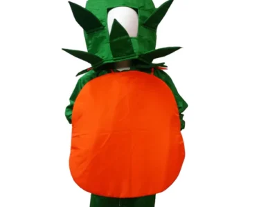 Orange Santra Kinnow Fruit Kids Fancy Dress Costume