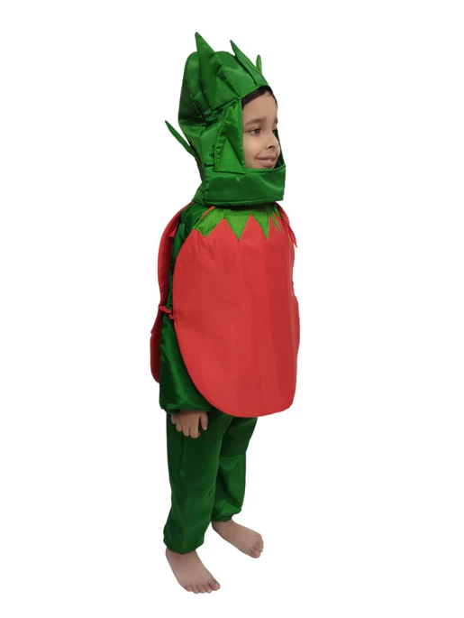 Tomato Vegetable Kids Fancy Dress Costume - Image 4