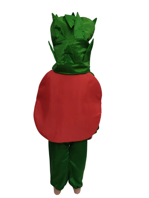 Tomato Vegetable Kids Fancy Dress Costume - Image 3