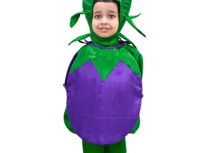 Zoom BookMyCostume Brinjal Eggplant Baingan Vegetable Kids Fancy Dress Costume