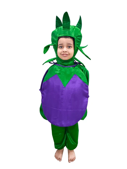 Zoom BookMyCostume Brinjal Eggplant Baingan Vegetable Kids Fancy Dress Costume