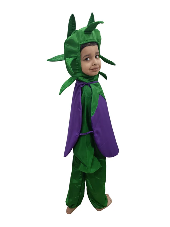 Zoom BookMyCostume Brinjal Eggplant Baingan Vegetable Kids Fancy Dress Costume - Image 3
