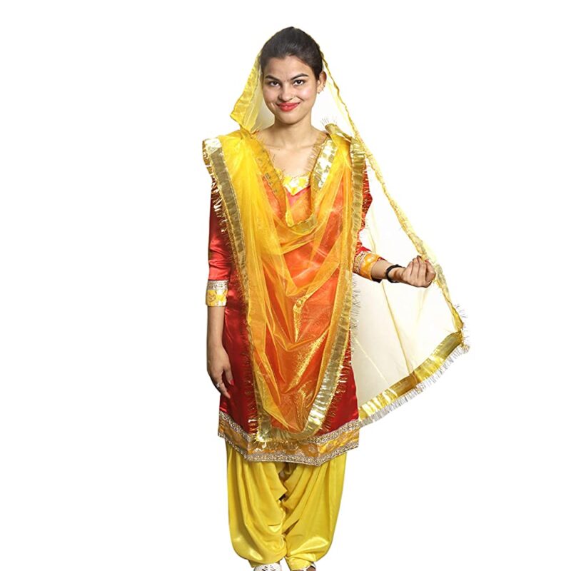 Punjabi Dress for Girls Traditional Folk Dance Costume for Kids
