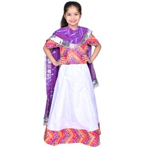 Rajasthani Dress For Girls Kids Indian States & Folk Dance Costume - Image 2