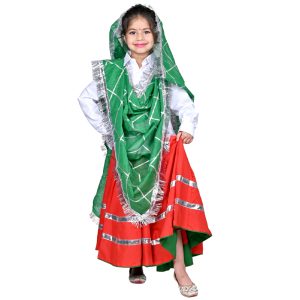 Haryanvi Dress For Girls Kids Indian States & Folk Dance Costume