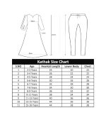 Kathak Dress – Yellow & Maroon Anarkali Dress - Image 4