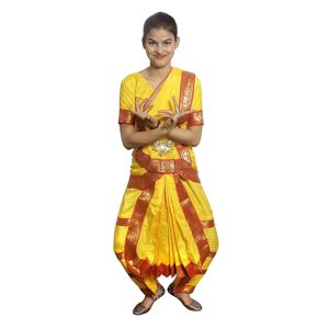 Bharatanatyam Saree For Girl – Magenta and Blue | Kids Fancy Dress